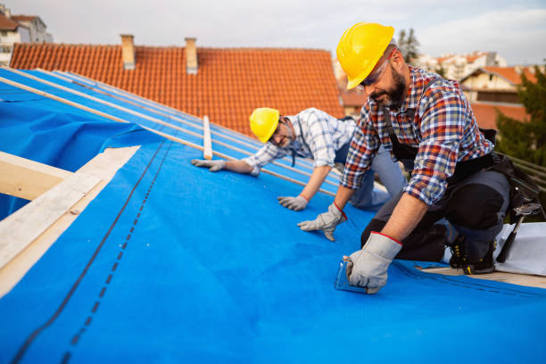 Fast & Reliable Emergency Roof Repairs in Lakewood Park, FL